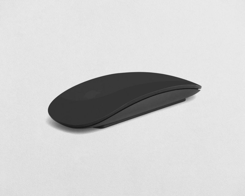 MOUSE